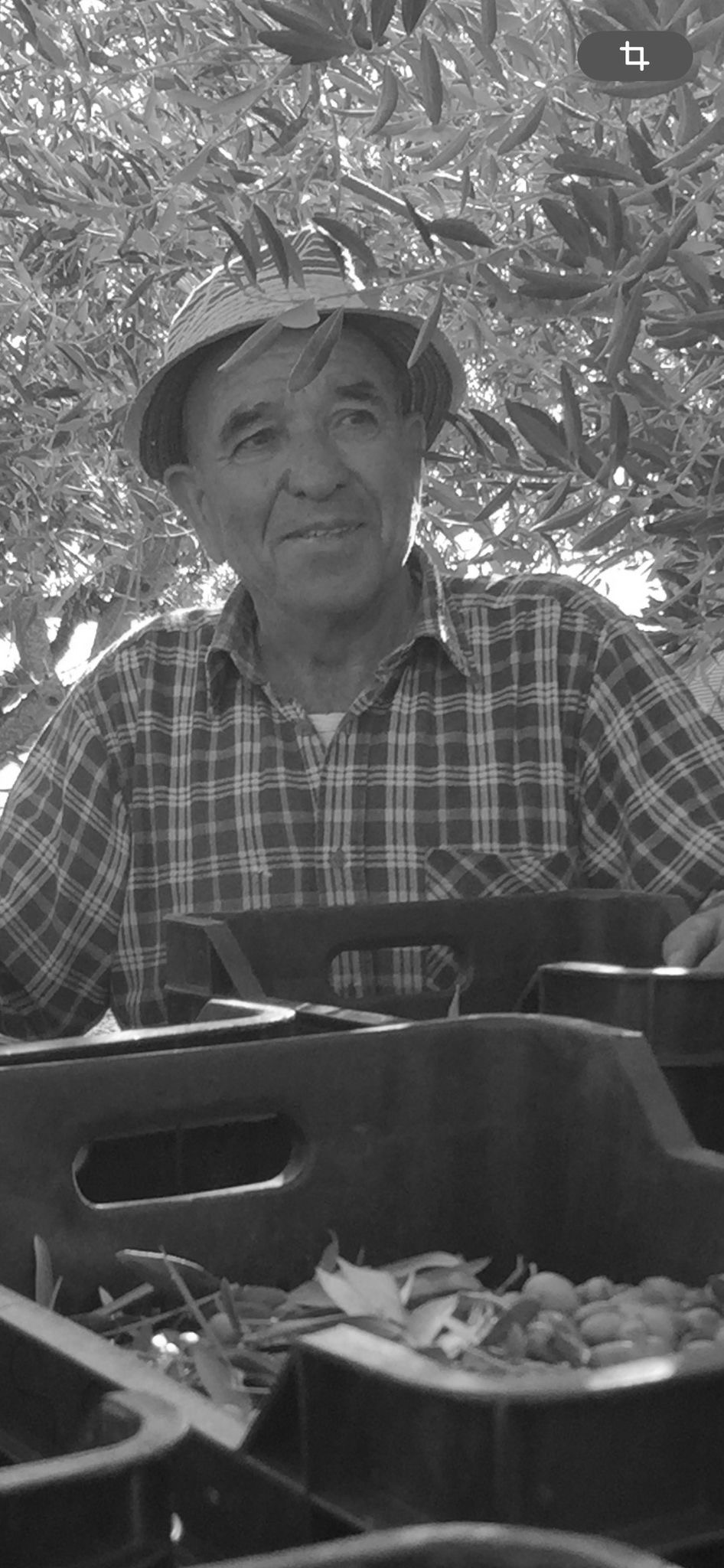 9fe5acd5-fed0-42c5-bdff-41ba9db378fb